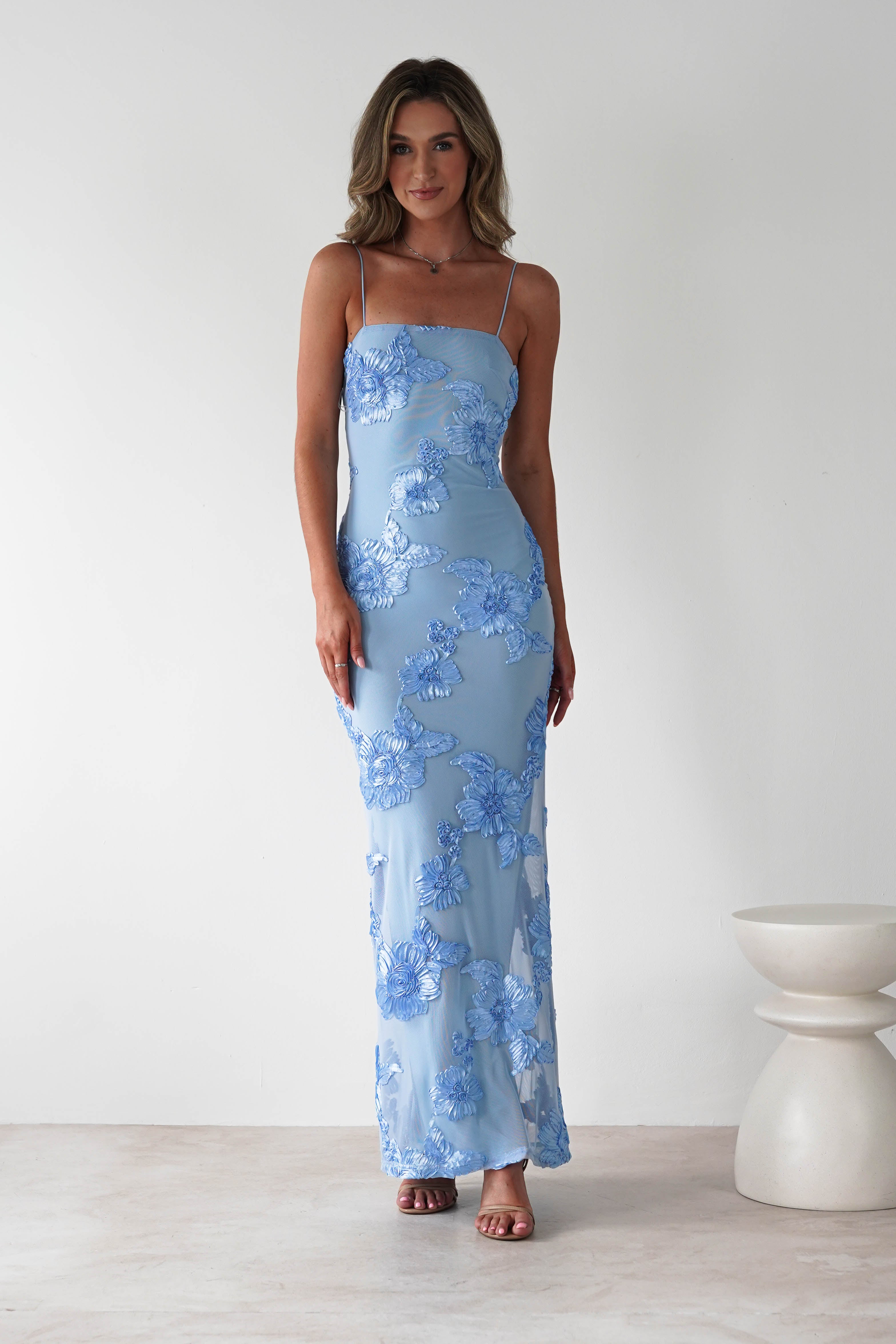 Alvana Floral Appliqué Maxi Dress | Blue | Oh Hello Clothing | S (8)