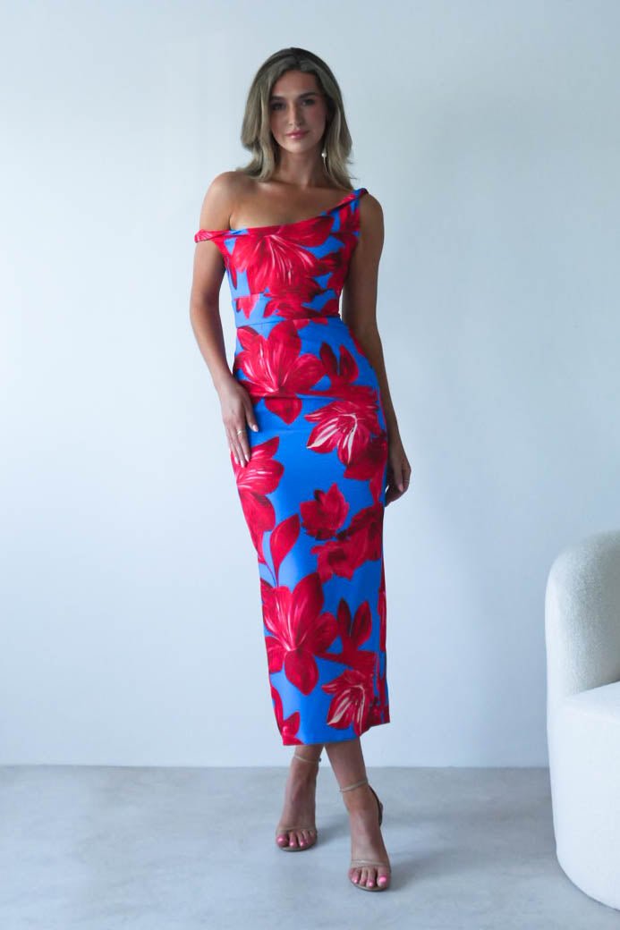 Elliot Floral Print Midi Dress | Blue/Red | Oh Hello Clothing | XS (6)