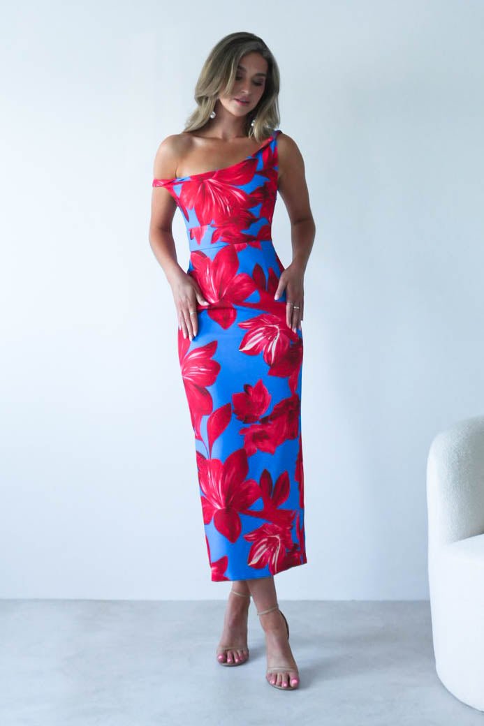 Elliot Floral Print Midi Dress | Blue/Red | Oh Hello Clothing | XS (6)