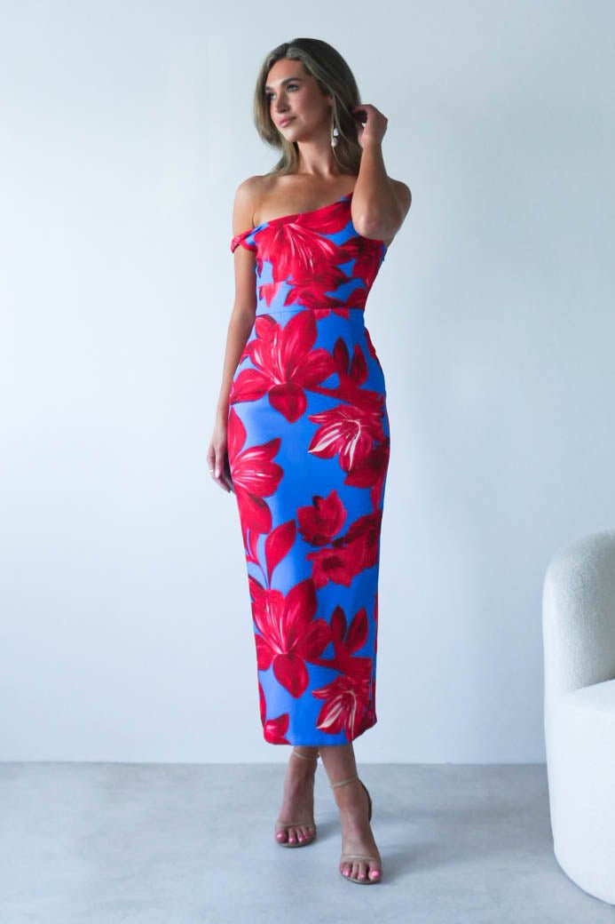 Elliot Floral Print Midi Dress | Blue/Red | Oh Hello Clothing | XS (6)