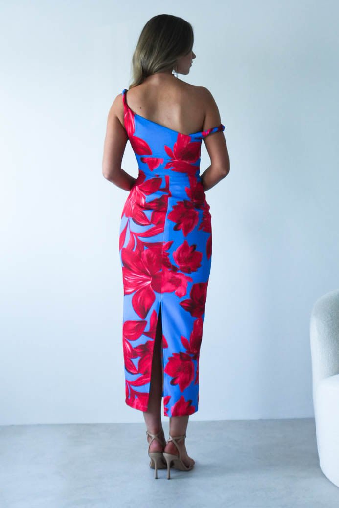 Elliot Floral Print Midi Dress | Blue/Red | Oh Hello Clothing | XS (6)