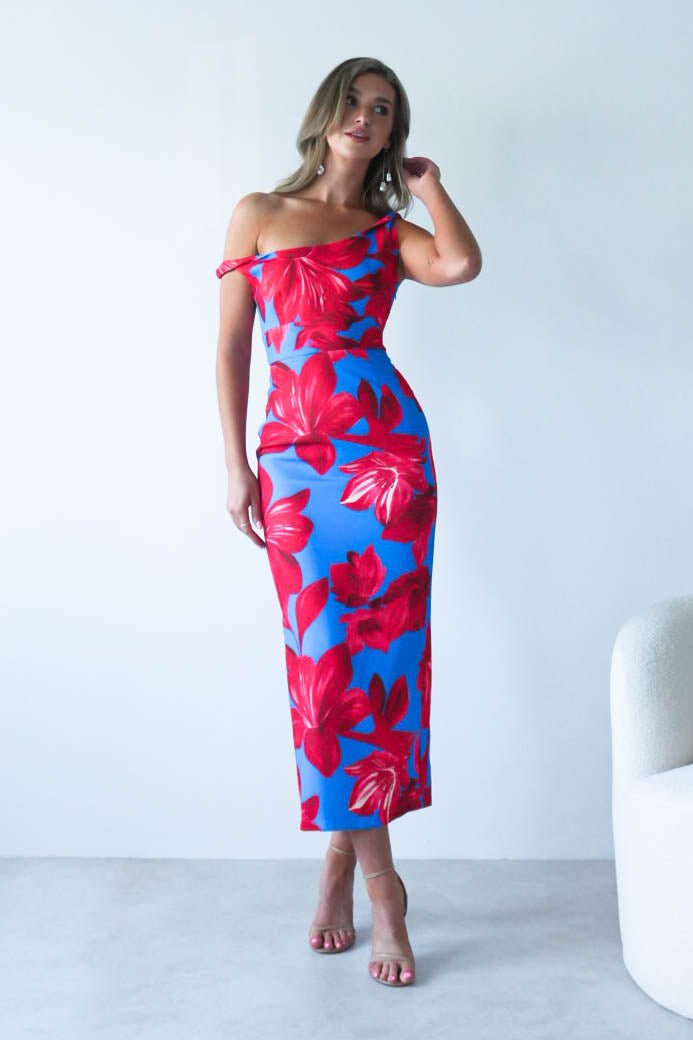 Elliot Floral Print Midi Dress | Blue/Red | Oh Hello Clothing | XS (6)