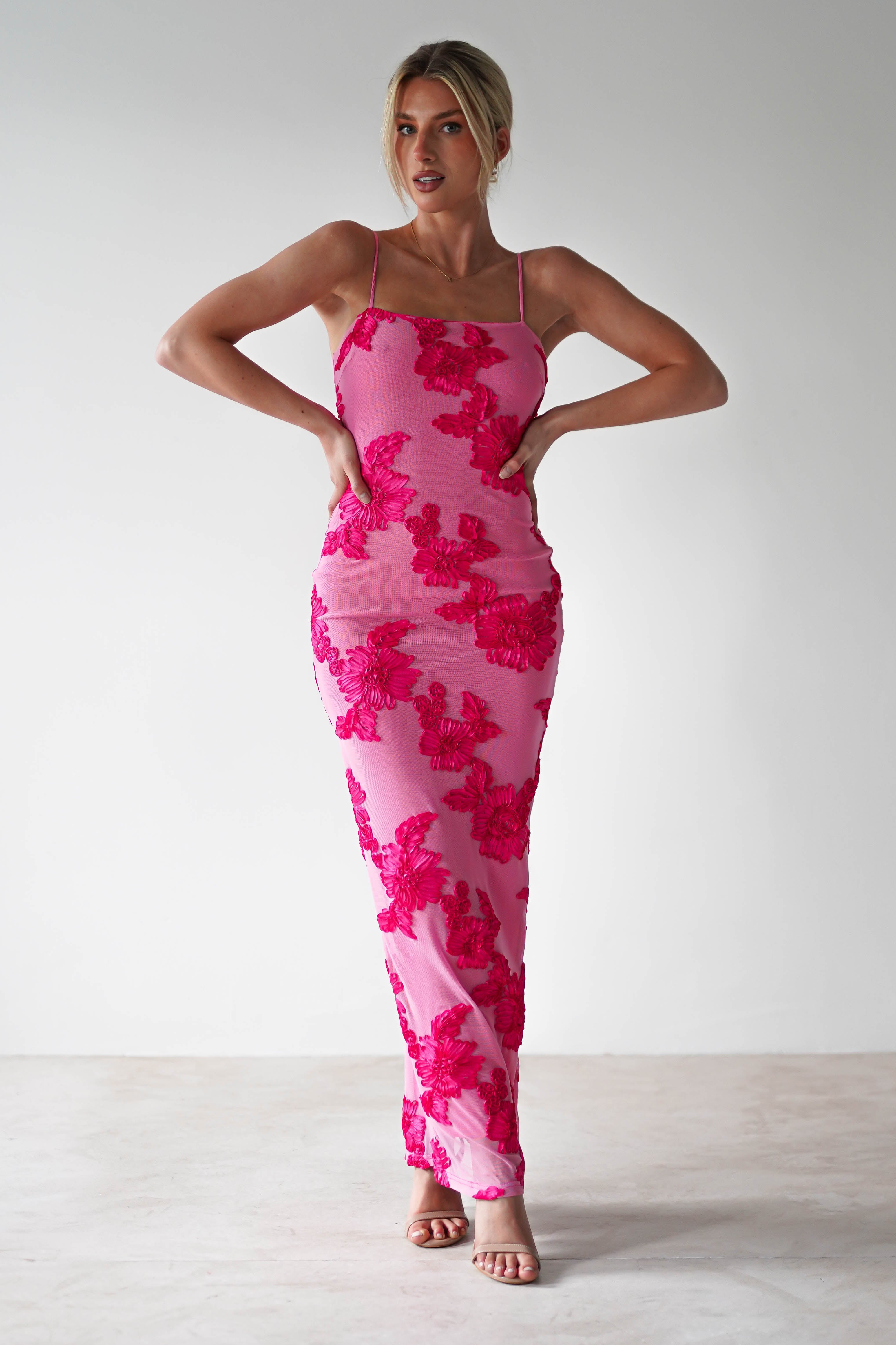Adora Floral Mesh Maxi Dress | Pink | Oh Hello Clothing | XS (6)