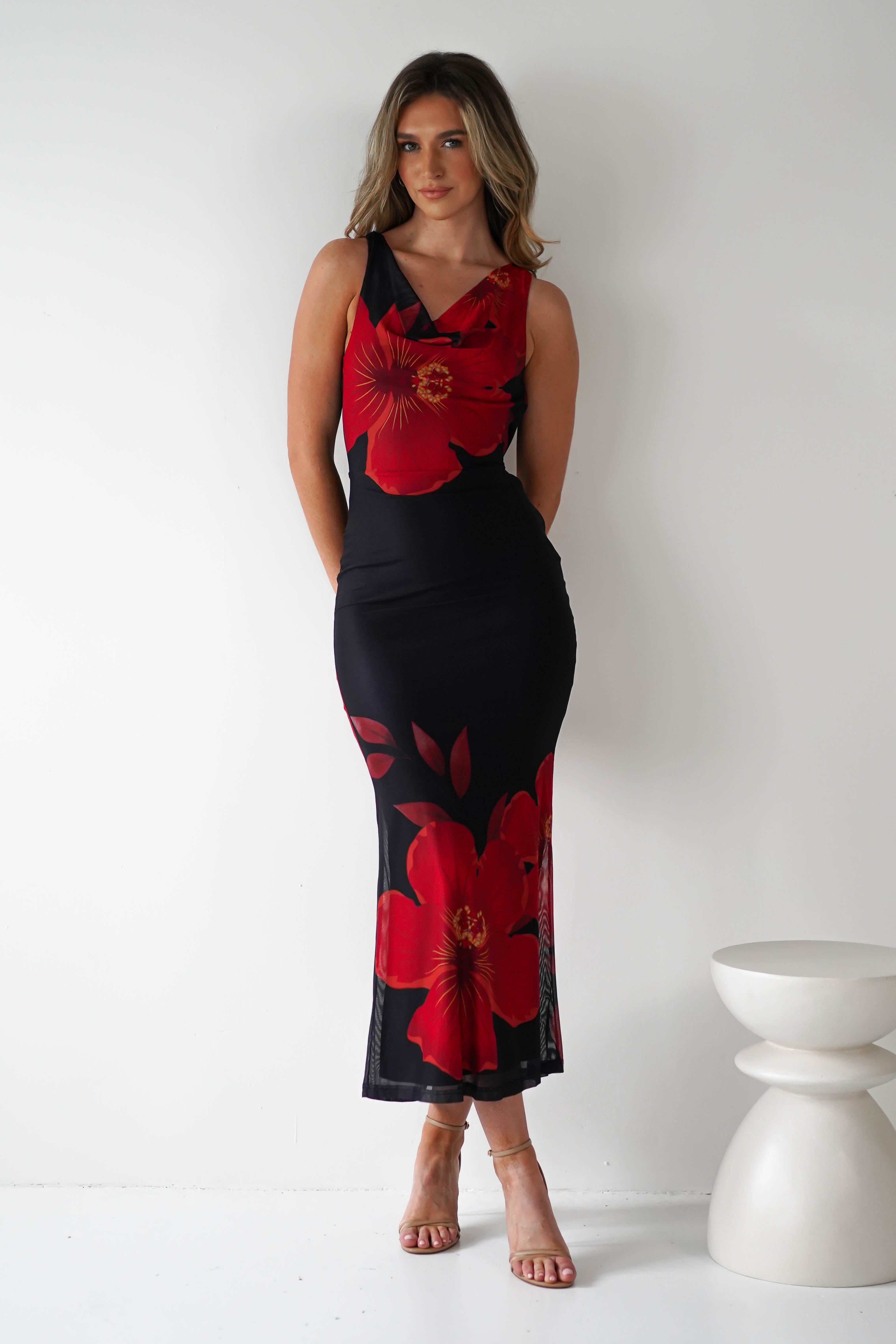Meadow Mesh Maxi Dress | Black/Red | Oh Hello Clothing | XS (6)