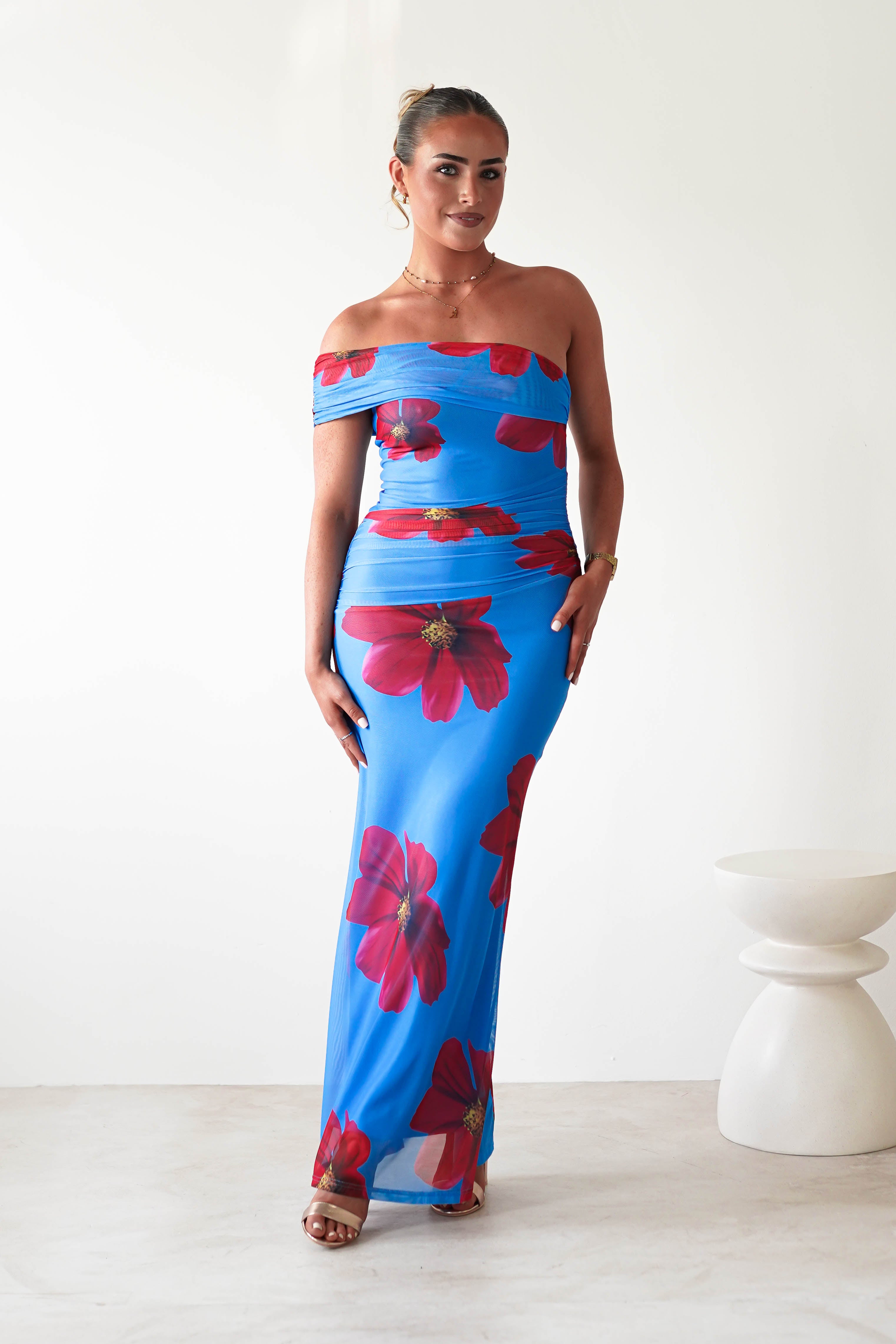 Solara Floral Print Mesh Maxi Dress | Blue | Oh Hello Clothing | XS (6)