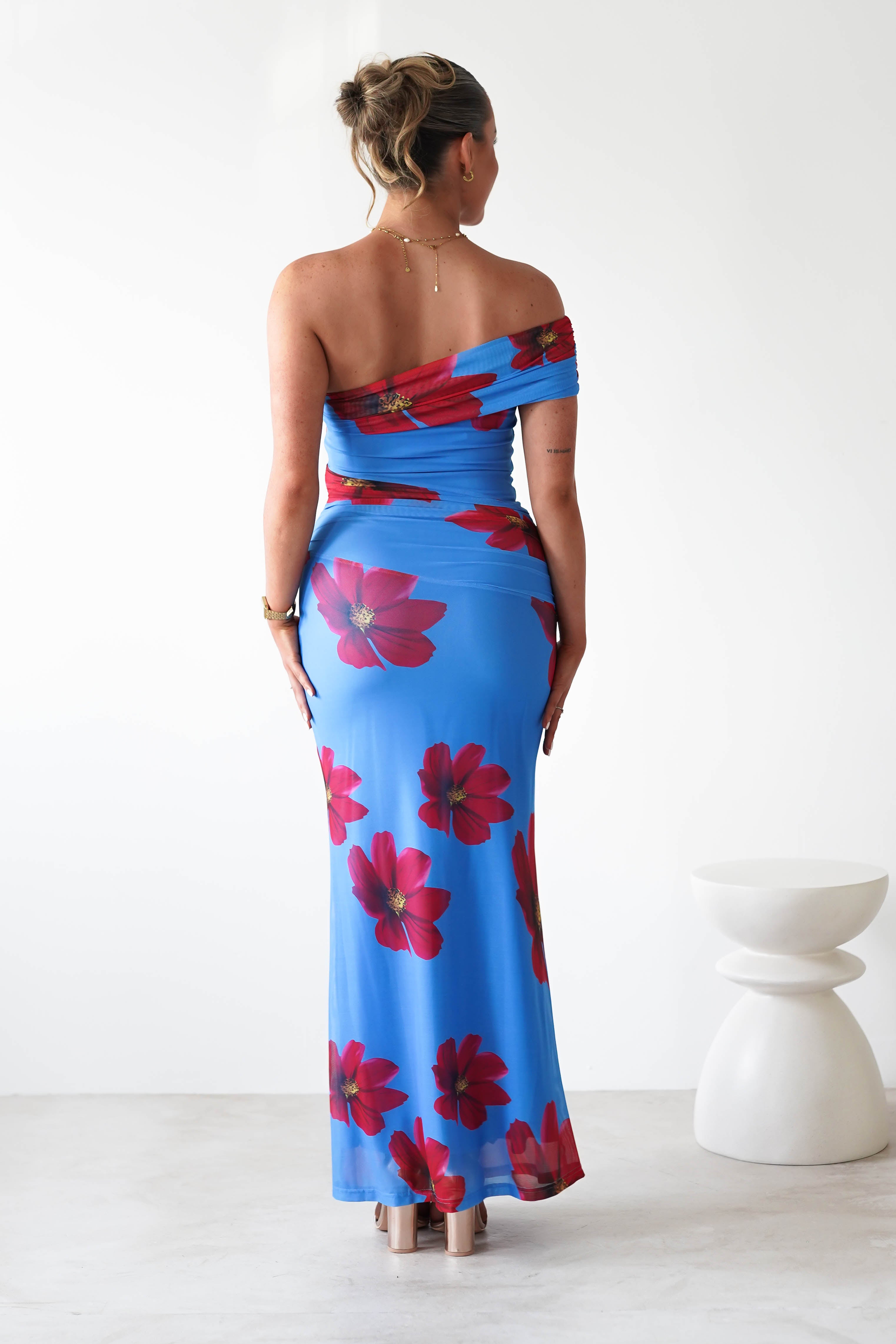 Solara Floral Print Mesh Maxi Dress | Blue | Oh Hello Clothing | XS (6)