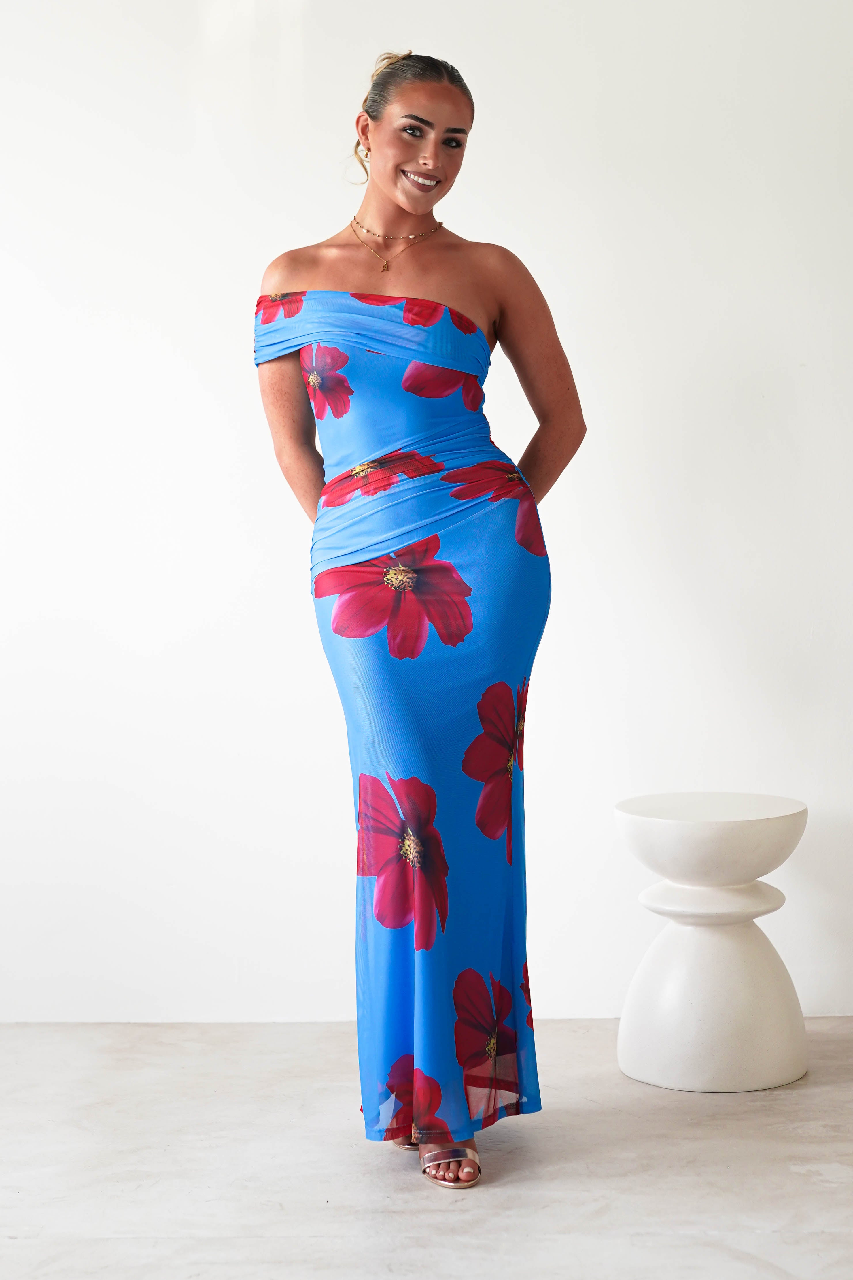 Solara Floral Print Mesh Maxi Dress | Blue | Oh Hello Clothing | XS (6)