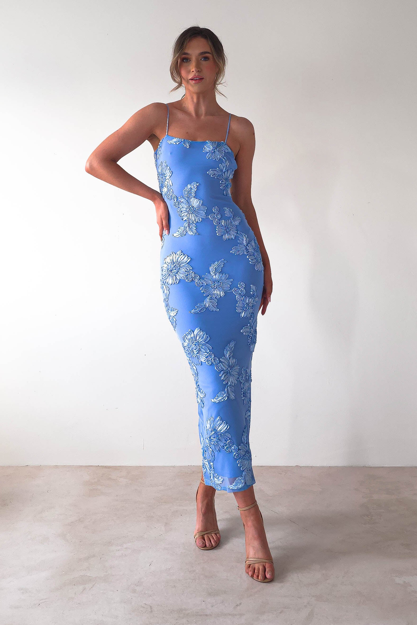 Adora Floral Mesh Maxi Dress | Blue | Oh Hello Clothing | XS (6)