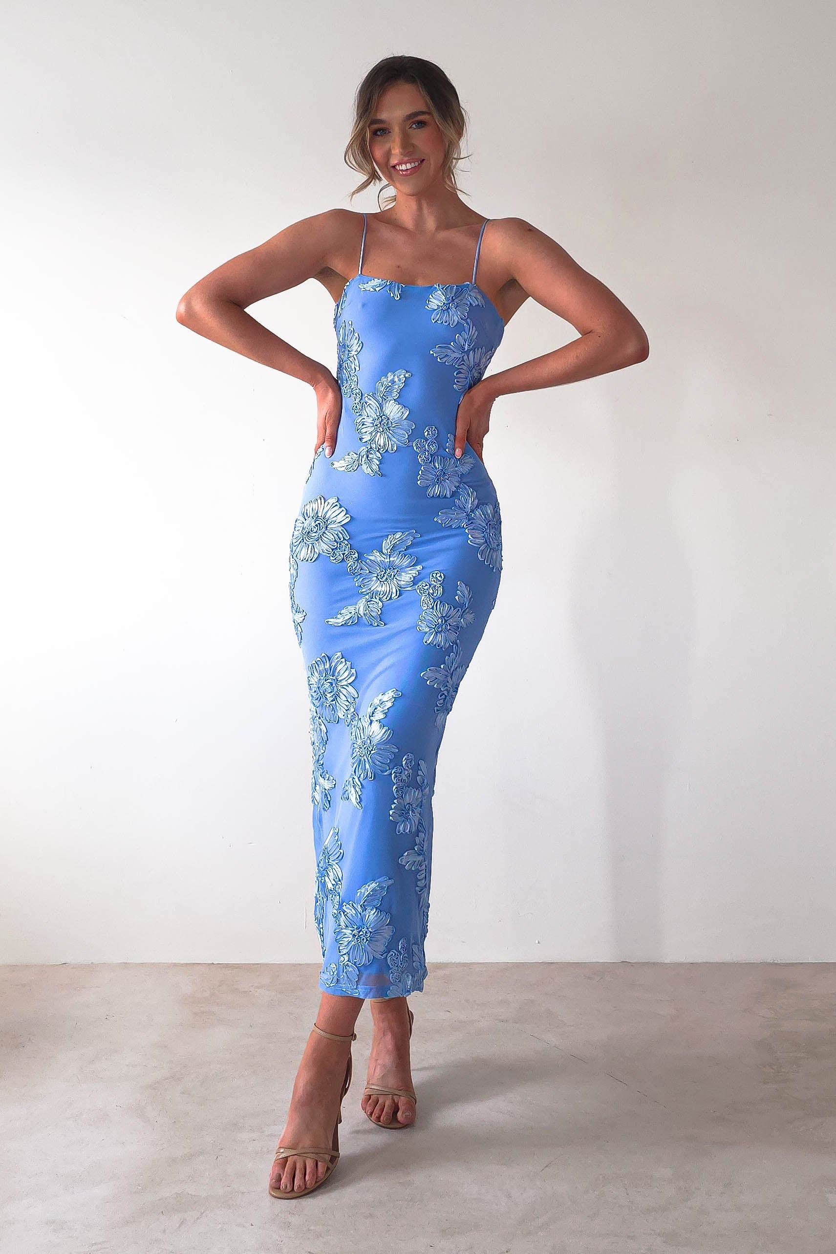 Adora Floral Mesh Maxi Dress | Blue | Oh Hello Clothing | XS (6)