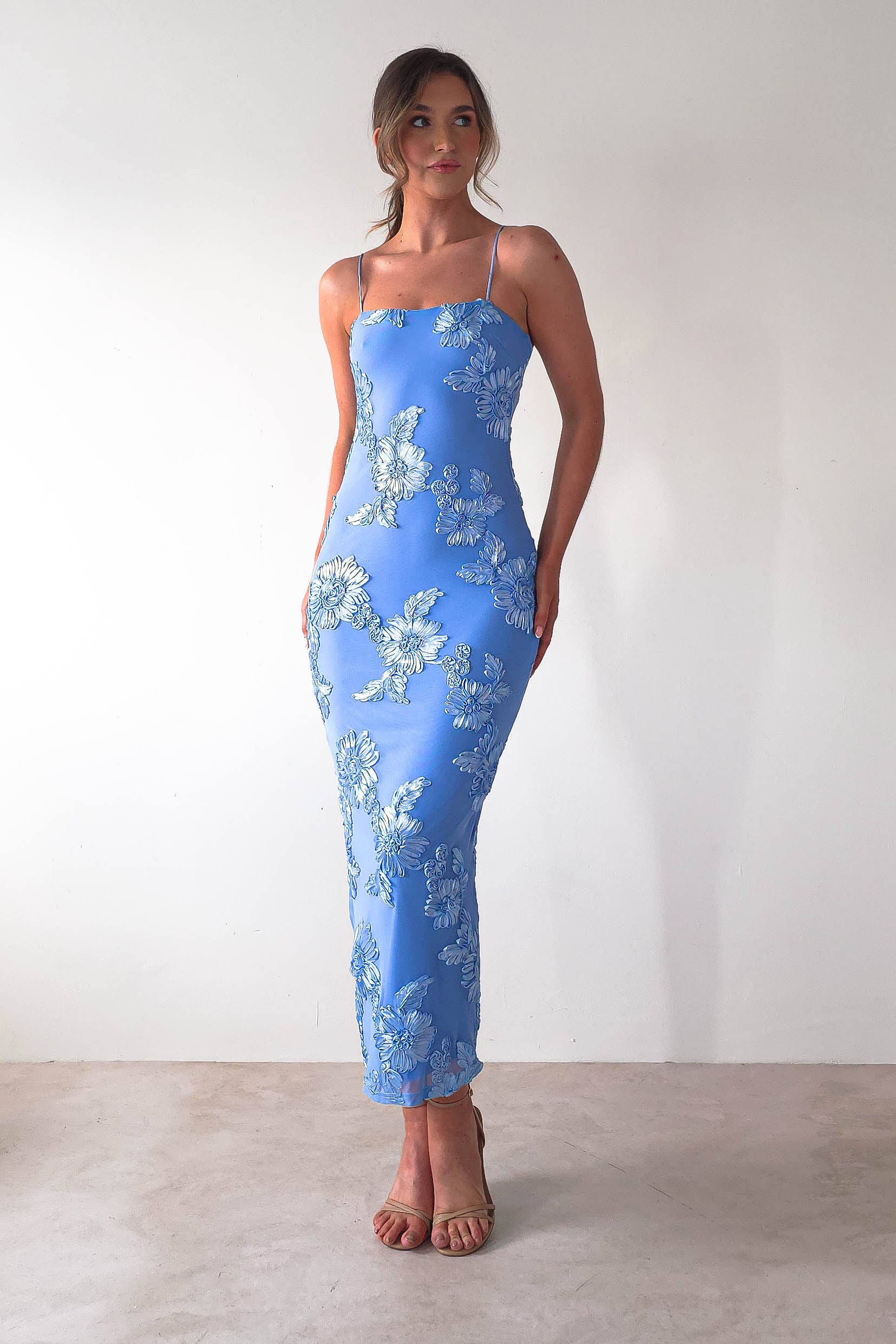 Adora Floral Mesh Maxi Dress | Blue | Oh Hello Clothing | XS (6)