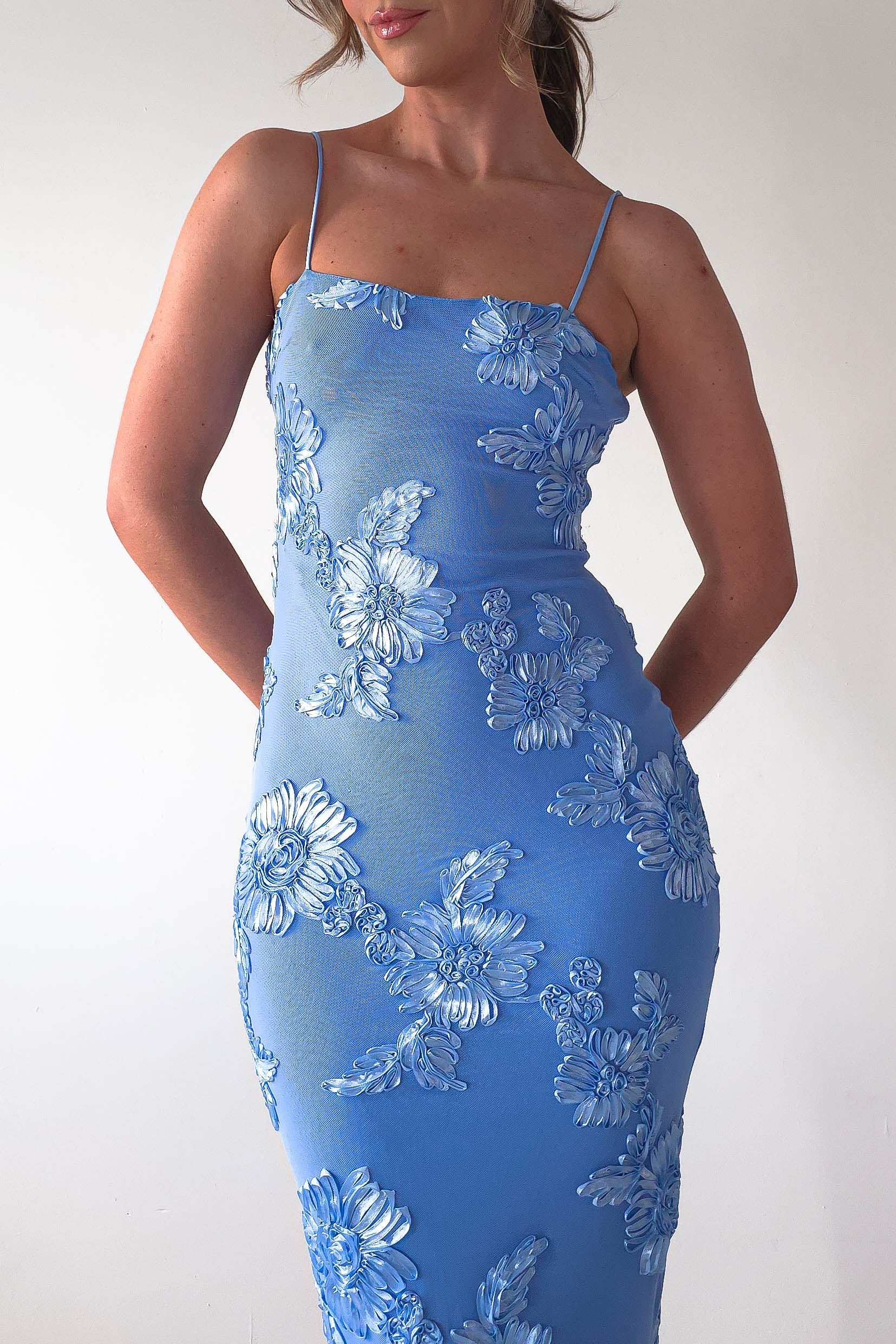 Adora Floral Mesh Maxi Dress | Blue | Oh Hello Clothing | XS (6)