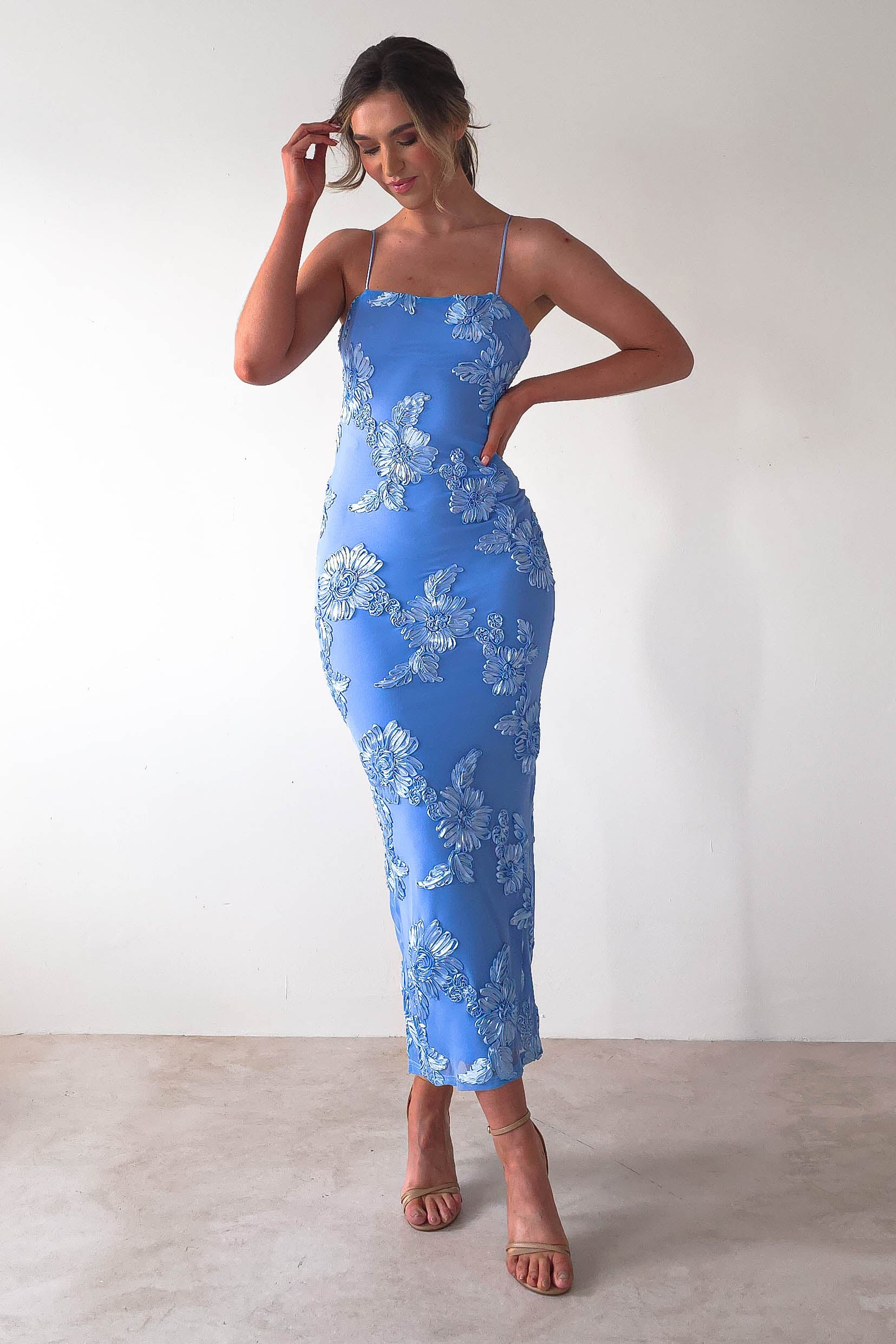 Adora Floral Mesh Maxi Dress | Blue | Oh Hello Clothing | XS (6)