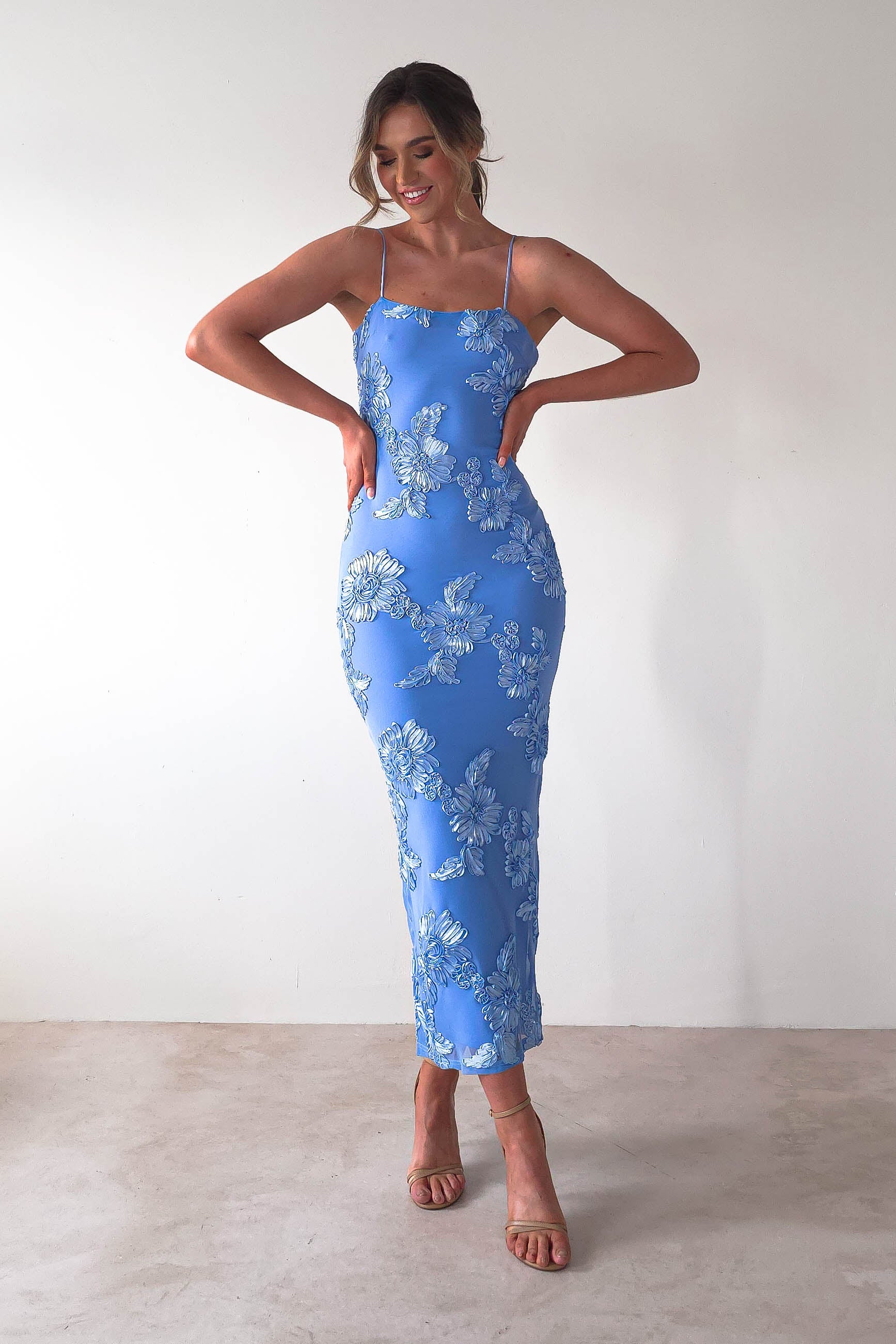 Adora Floral Mesh Maxi Dress | Blue | Oh Hello Clothing | XS (6)