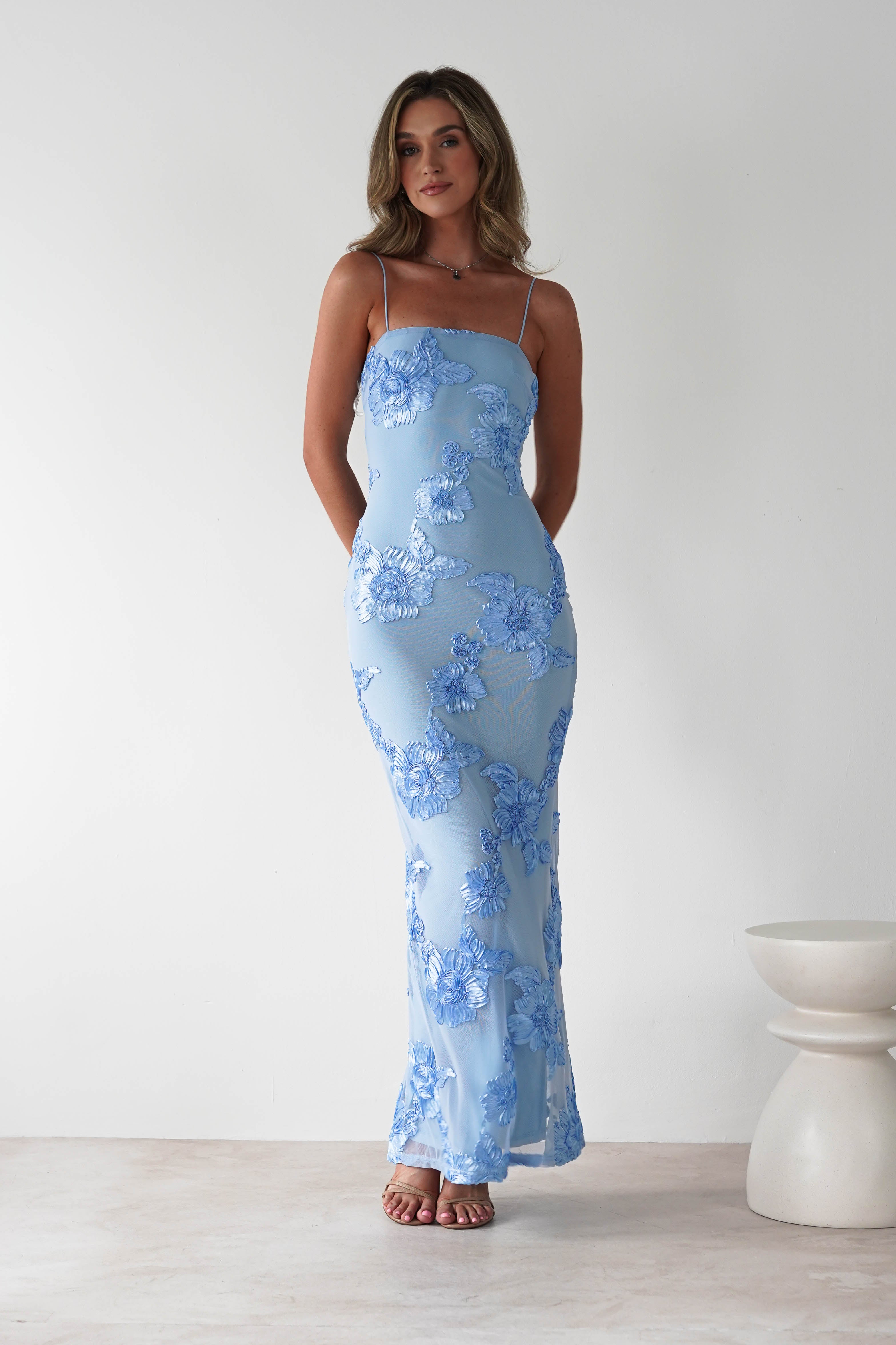 Alvana Floral Appliqué Maxi Dress | Blue | Oh Hello Clothing | S (8)