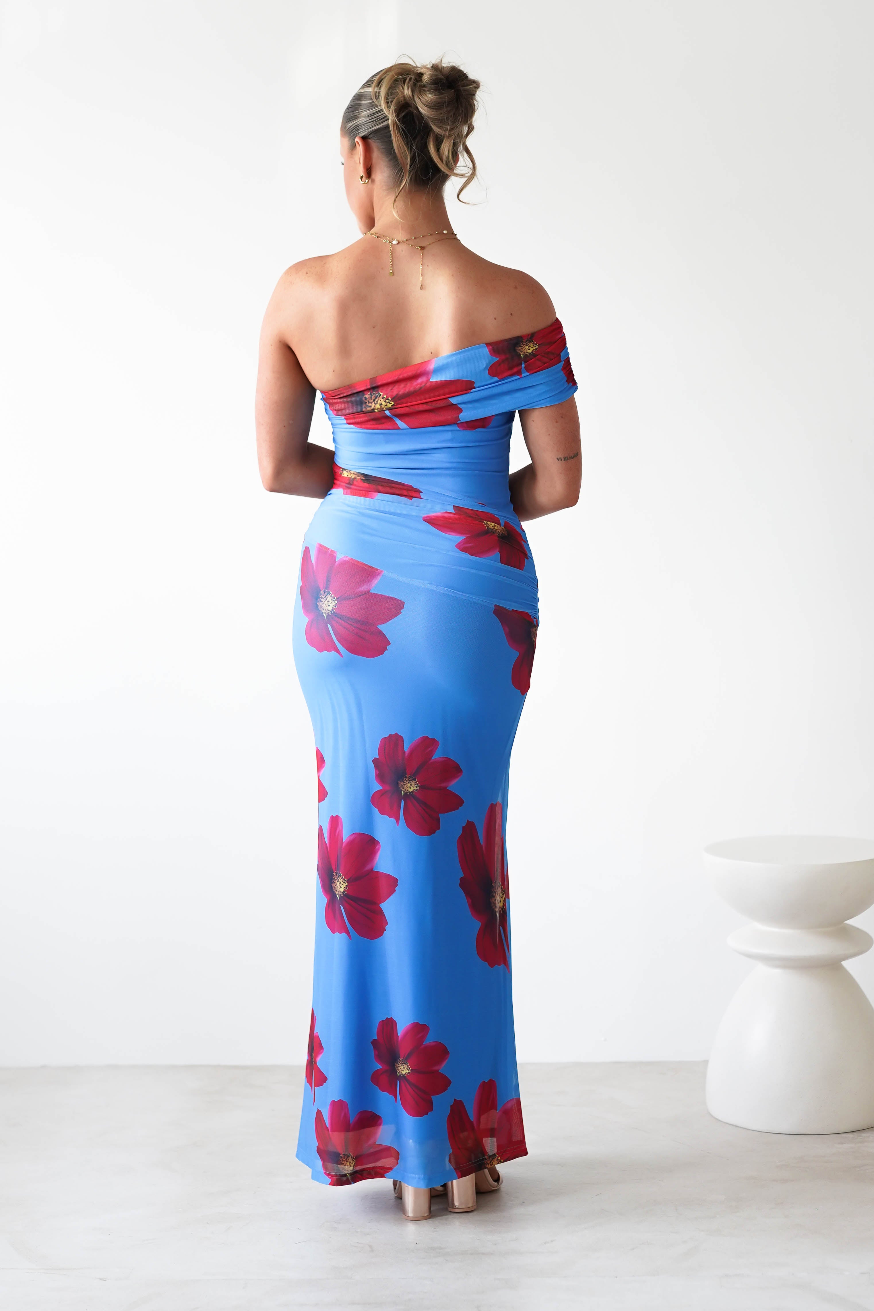 Solara Floral Print Mesh Maxi Dress | Blue | Oh Hello Clothing | XS (6)