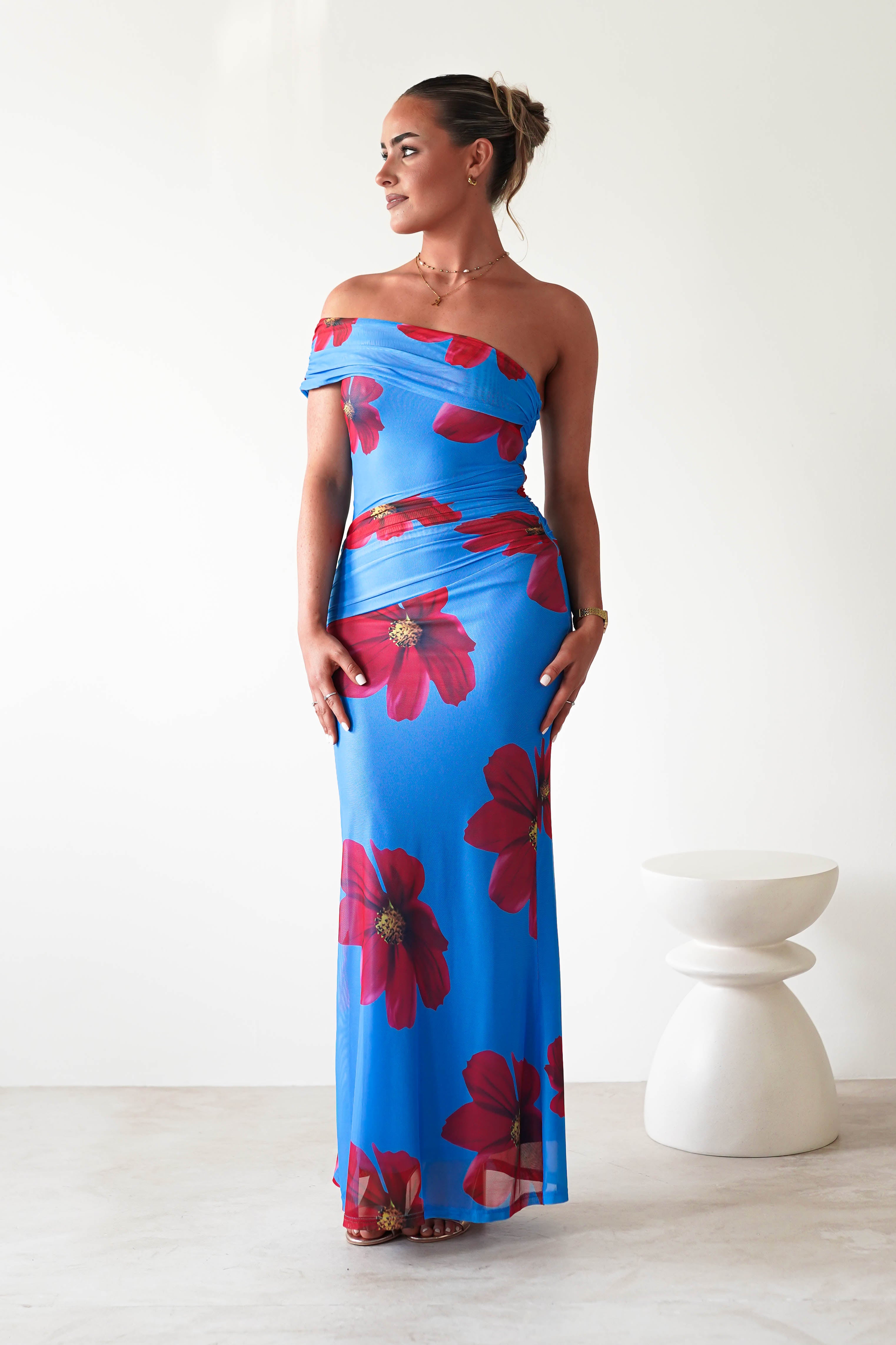 Solara Floral Print Mesh Maxi Dress | Blue | Oh Hello Clothing | XS (6)