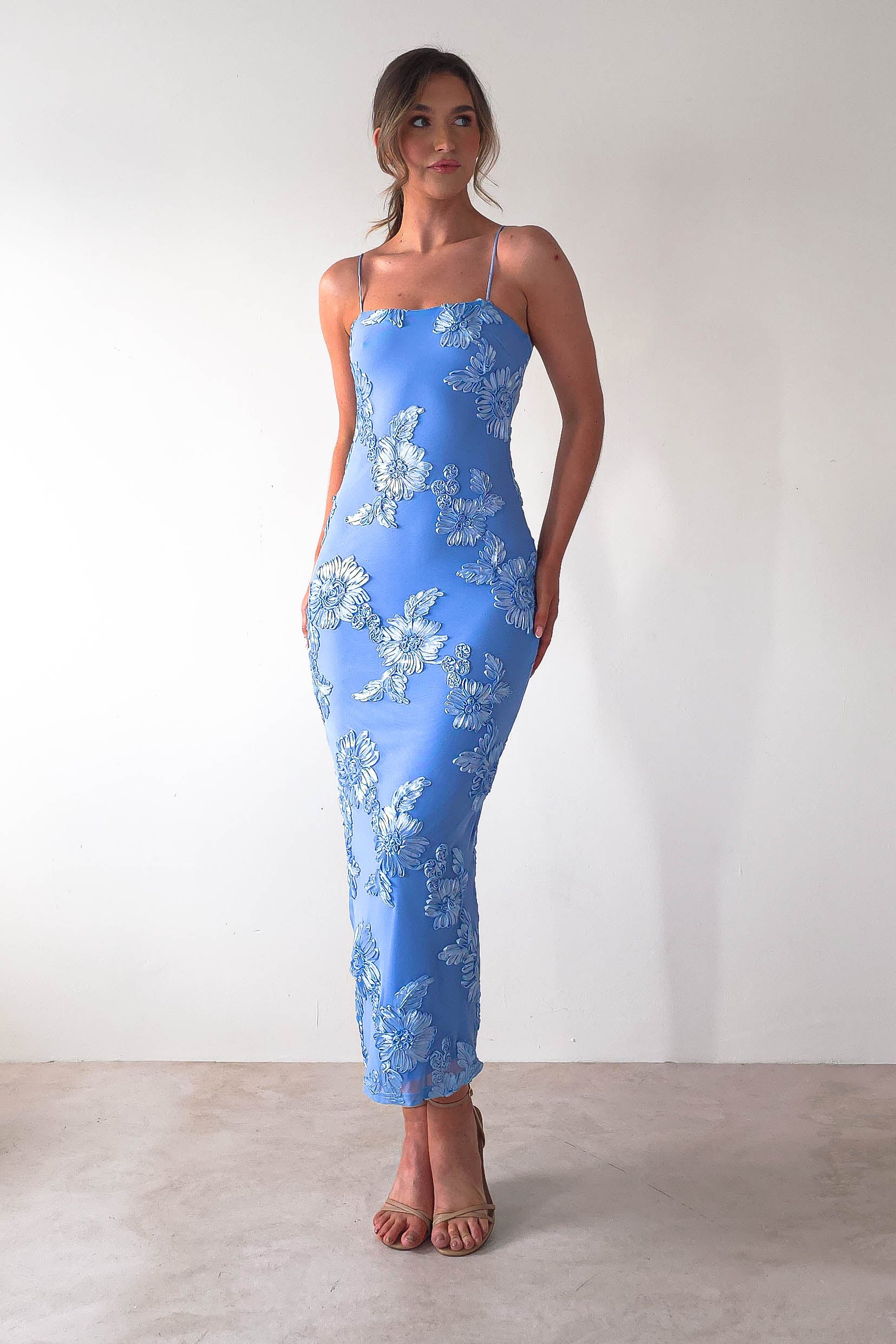 Adora Floral Mesh Maxi Dress | Blue