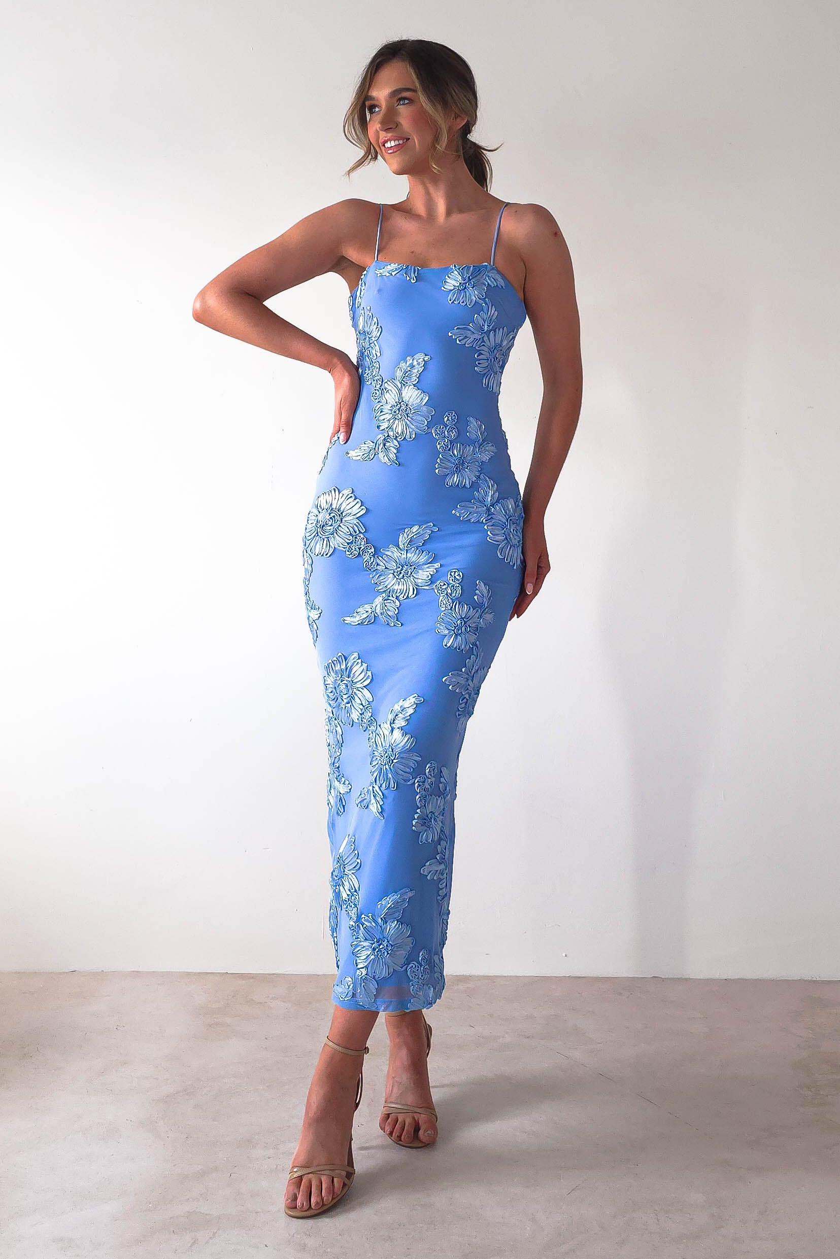 Adora Floral Mesh Maxi Dress | Blue