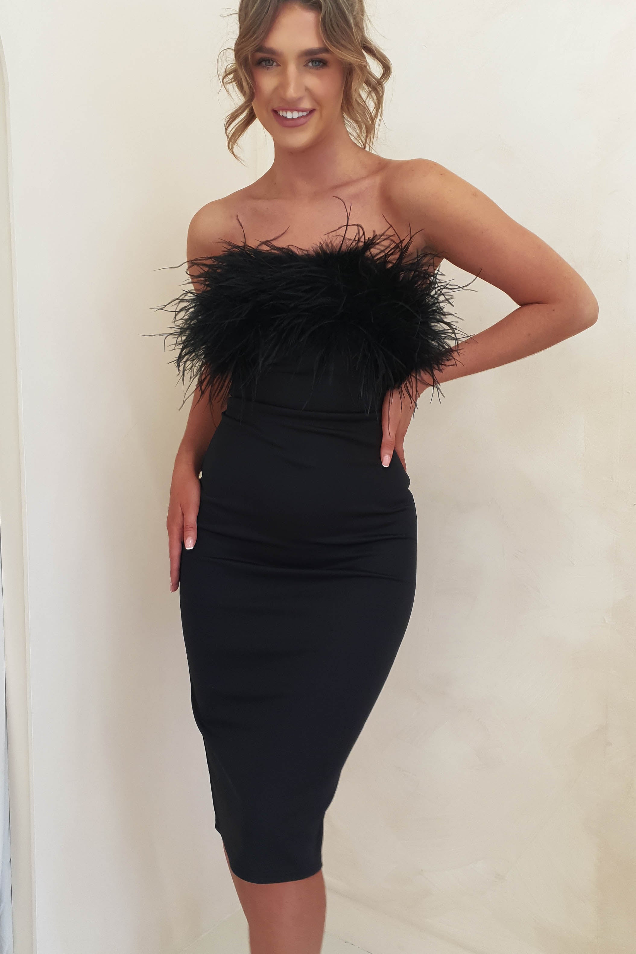 Riley Ponte Dress in Black/Feathers