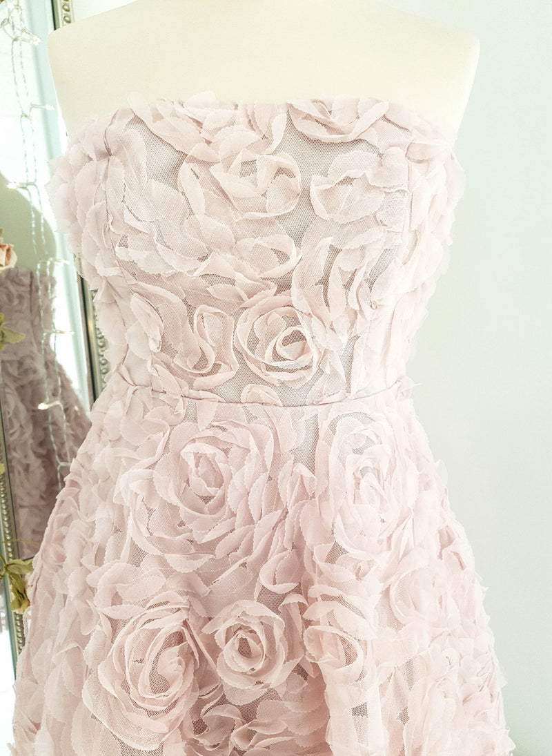 Rosetta Mini Dress Pink