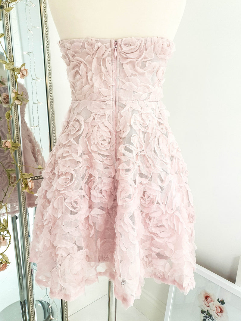 Rosetta Mini Dress Pink